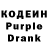 Codein Purple Drank Cheerazade Pardaillant