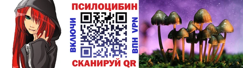 Псилоцибиновые грибы Cubensis  блэк спрут сайт  Алдан  дарнет шоп 